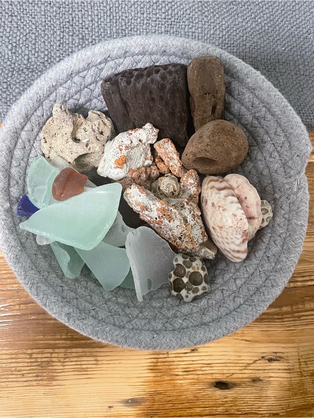Collection of interesting beach finds. Seashells, Seaglass, driftwood, etc..